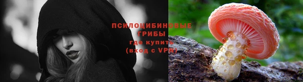 альфа пвп Бородино